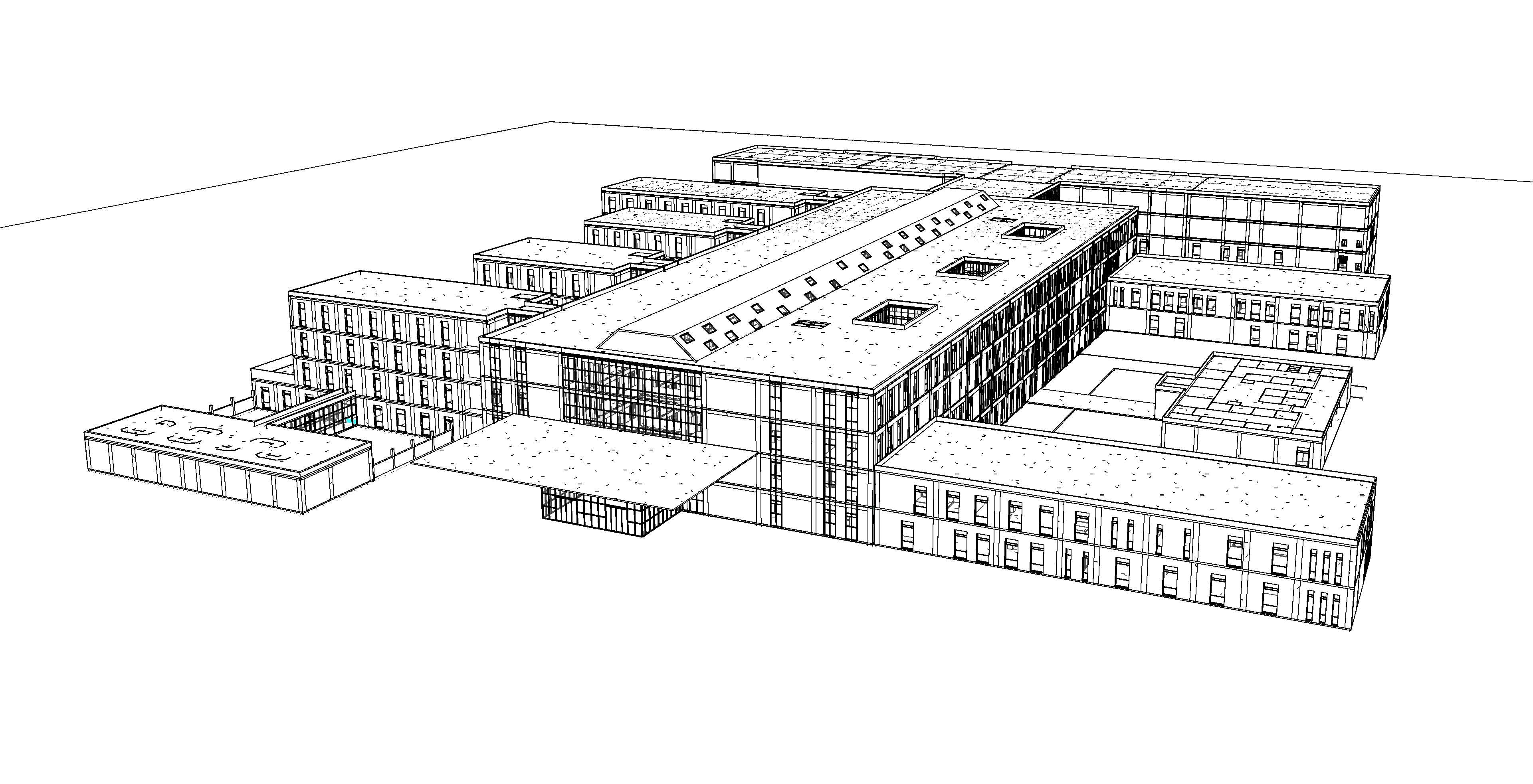 Maquette BIM filaire projet hospitalier Algérie